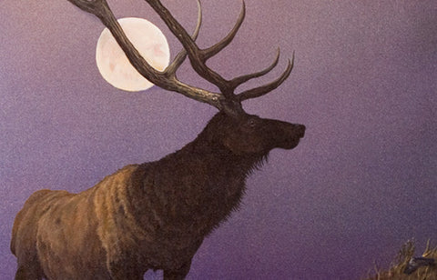 Night Elk